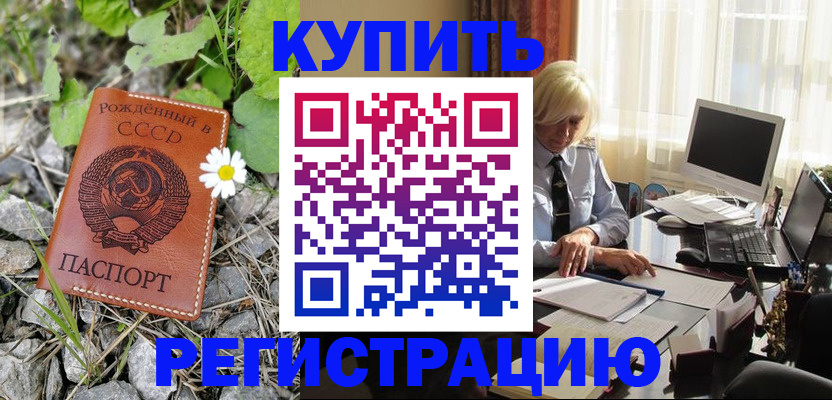 временная регистрация поиск в Камышлове